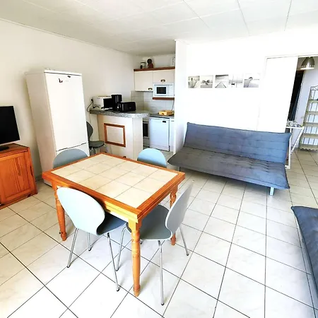 Apartment Agreable T3 Avec Terrasse Et Grande Piscine, A Deux Pas De La - Fr-1-607-101 Agde